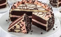 Chocolate Peppermint Mousse Cake